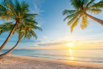 Beautiful beach with palm trees and a clear blue sky