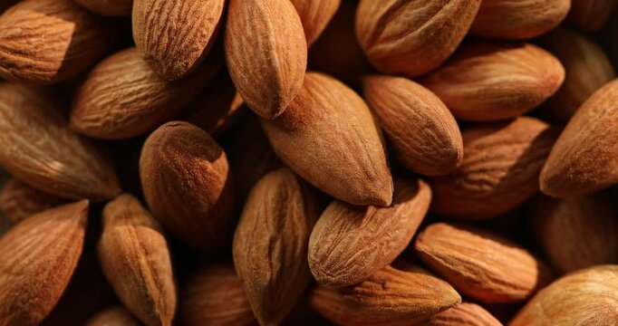 Close-Up of Raw Almonds in Shell