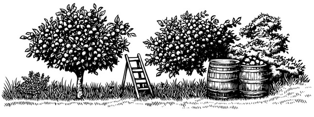 Engraved depiction of a serene orchard with fruit trees, barrels, and a ladder in a peaceful countryside setting