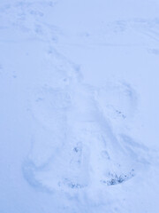 Snow angel Child imprint in fresh snow . High quality photo