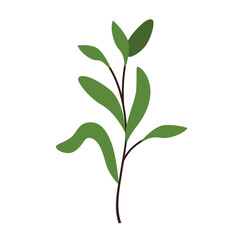 Obraz premium Tropical green plant vector illustration, plant clip art, clip art tropical leaves, plants clip art