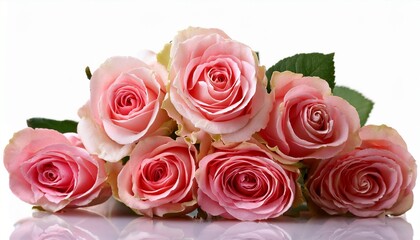 Naklejka premium bunch of rosy roses isolated on white