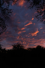 atardecer