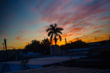 atardecer