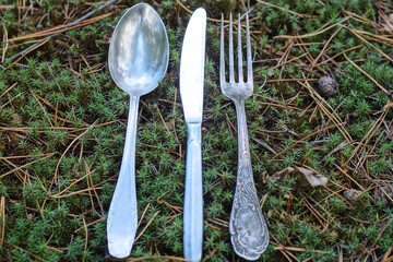 three old gray metal cutlery from a spoon fork and knife lie on green moss on a summer street