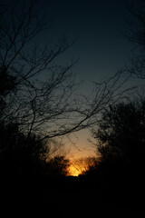 atardecer