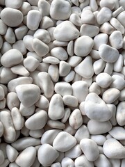 View of white decorative sea stones scattered creating a smooth and clean texture, ideal for use in garden pathways and decorative landscaping.