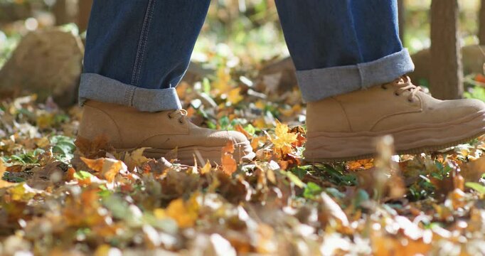 Late autumn: admiring and enjoying the autumn foliage.
