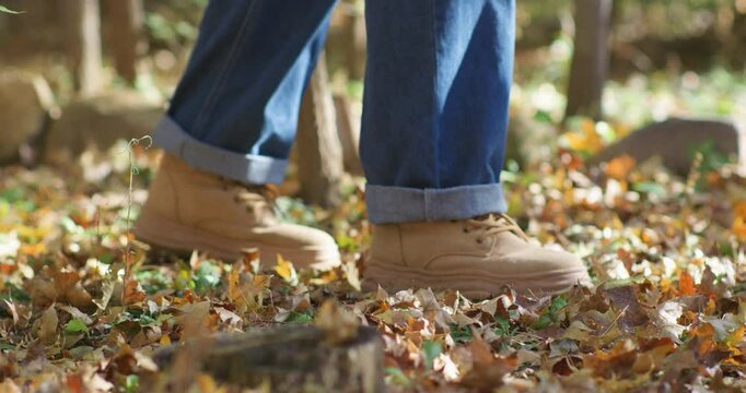 Late autumn: admiring and enjoying the autumn foliage.
