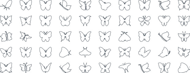 Fototapeta premium Butterfly vector illustration set, line art style, Butterflies in various poses. Perfect for spring, summer designs, invitations.