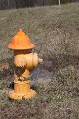 Yellow and orange fire hydrant in a grassy field