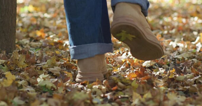 Late autumn: admiring and enjoying the autumn foliage.
