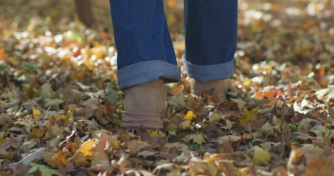 Late autumn: admiring and enjoying the autumn foliage.
