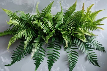 Elegant Deep Green Ferns on Light Grey Table for Modern Home Decor