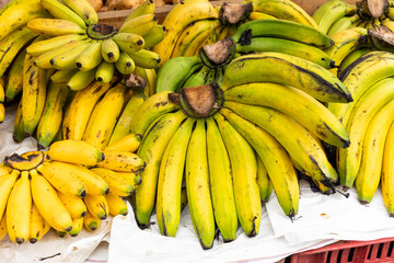Bunches of ripe plantain in the Colombian peasant market square - Musa x paradisiaca.