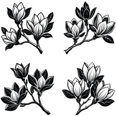 Vector magnolia flower set silhouette