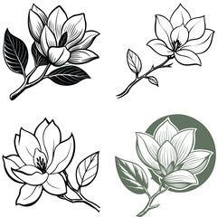 Vector magnolia flower set silhouette