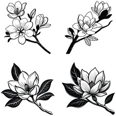 Vector magnolia flower set silhouette © ShahAlam