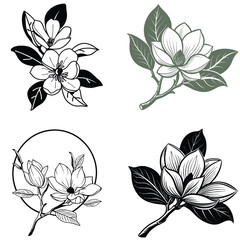 Vector magnolia flower set silhouette