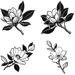 Vector magnolia flower set silhouette