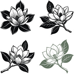 Vector magnolia flower set silhouette