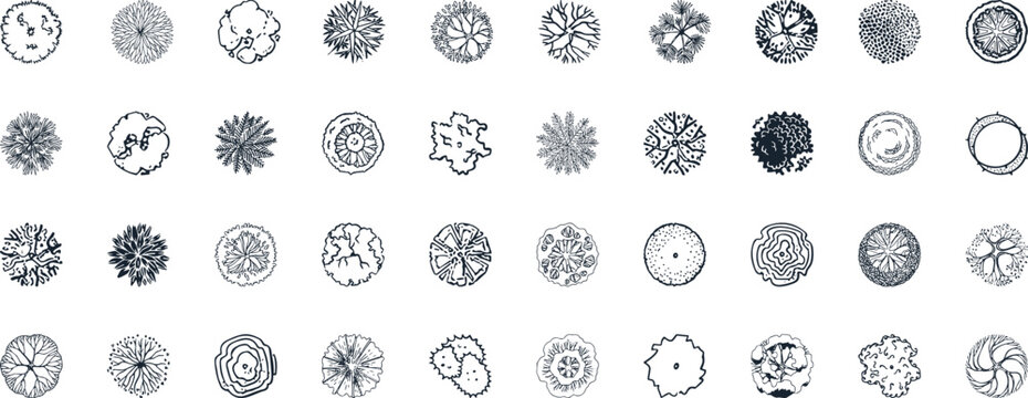 Vector tree top watercolor hand drawn view isolated on white background for landscape plan and architecture layout drawing,