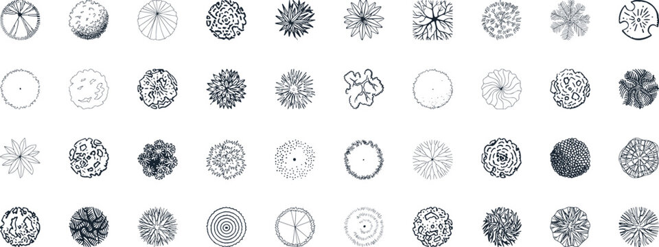 Vector tree top watercolor hand drawn view isolated on white background for landscape plan and architecture layout drawing,