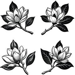 Vector magnolia flower set silhouette