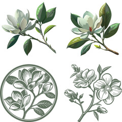 Vector magnolia flower set silhouette