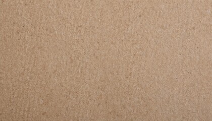 rough pale brown paper texture
