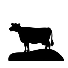 Cows Silhouettes
