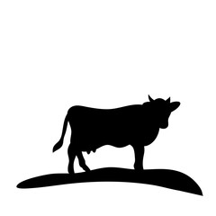 Cow grazing on meadow
