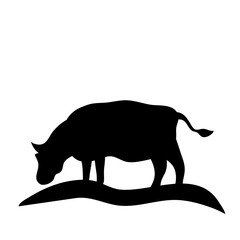 Cow grazing on meadow
