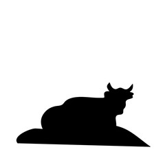 Cow grazing on meadow
