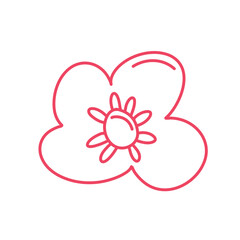 Collection of spring colorful flower
