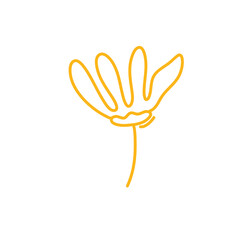 Obraz premium Collection of spring colorful flower 