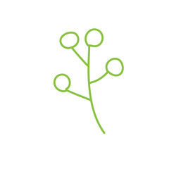 Collection of spring colorful flower
