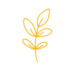 Collection of spring colorful flower
