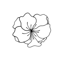 simple delicate hand drawn flowers
