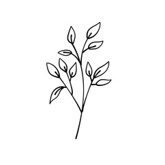 simple delicate hand drawn flowers
