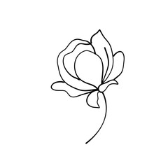 simple delicate hand drawn flowers
