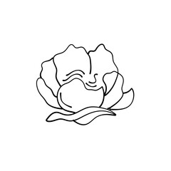 simple delicate hand drawn flowers
