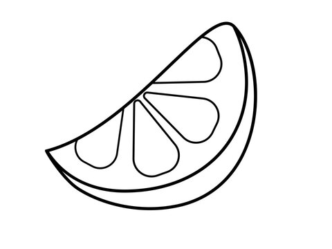 recommend clip art: A slice of lemon or lime. Slice of citrus - vector linear image. Outline. Hand drawing.	