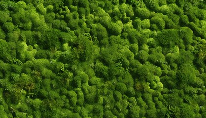 Fresh green moss texture wall pattern close-up.