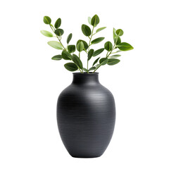 Elegant black vase with fresh green leaves