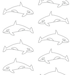 Vector seamless pattern of flat hand drawn killer outline whale isolated on white background