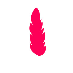 Feather icon vector
