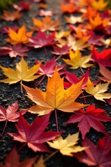 Fototapeta premium Close-up of colorful maple leaves on the ground in autumn, foliage, fall