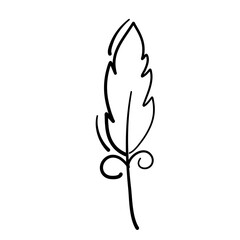 Graphical mono line feathers
