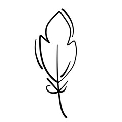 Graphical mono line feathers
